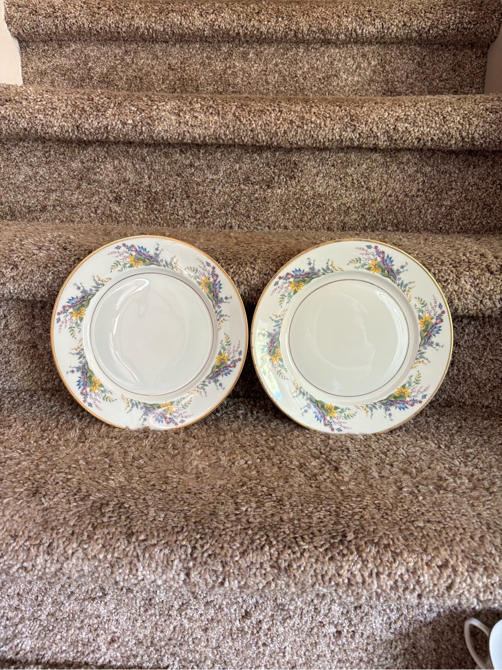 Arcadian salad plates